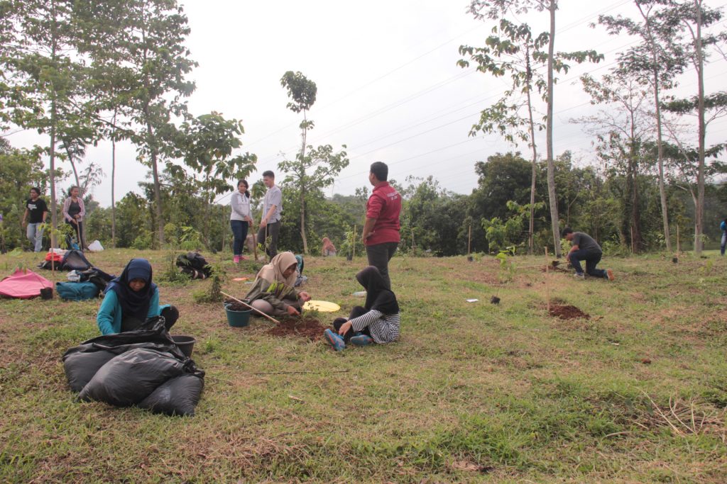 Integrasi Praktik Silvikultur Dengan Upaya Penanaman Pohon Di Lahan ...