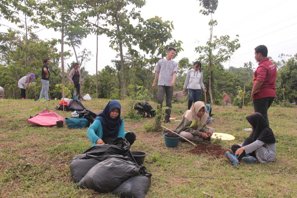 Integrasi Praktik Silvikultur Dengan Upaya Penanaman Pohon Di Lahan ...