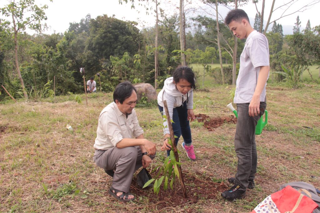 Integrasi Praktik Silvikultur Dengan Upaya Penanaman Pohon Di Lahan ...