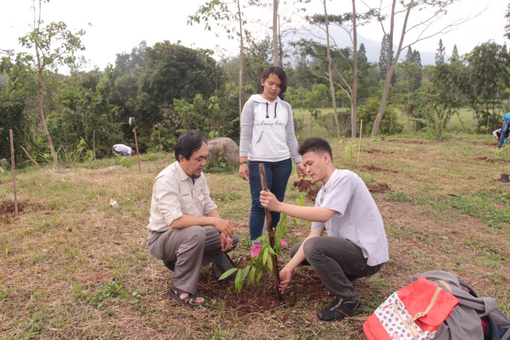 Integrasi Praktik Silvikultur Dengan Upaya Penanaman Pohon Di Lahan ...